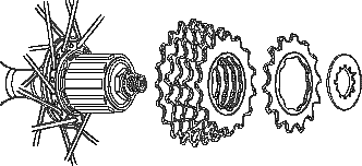 hub + cassette